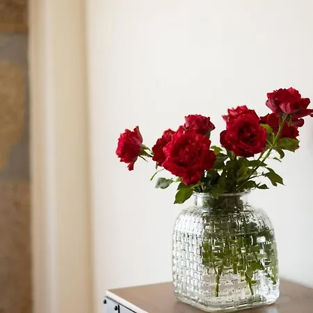 Countryside With Nature & Pool - 'casa Dos Vasconcelos' Casas Novas