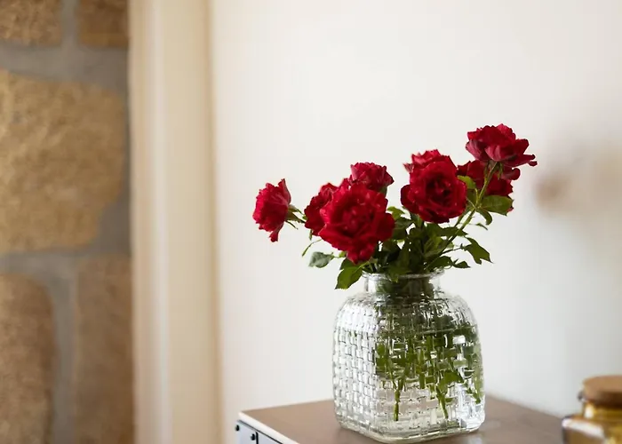 Countryside With Nature & Pool - 'casa Dos Vasconcelos' Casas Novas